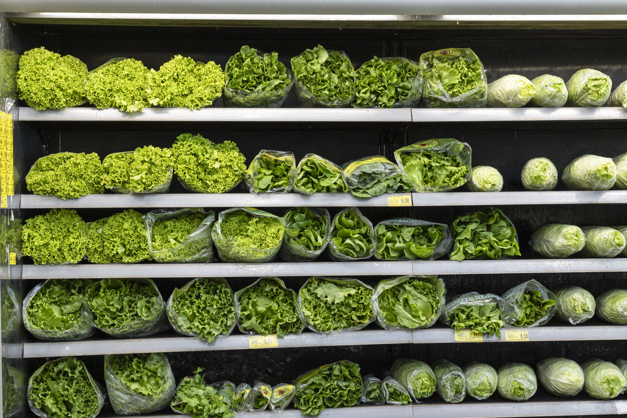 Sobre nós - Imagem 4