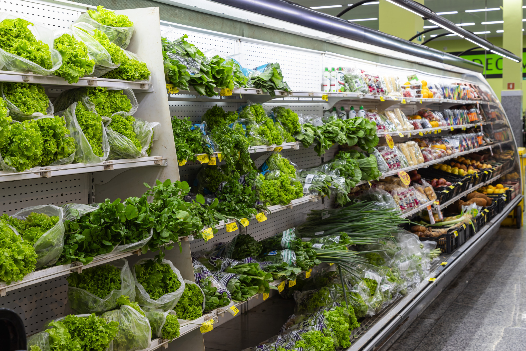 Sobre nós - Imagem 7